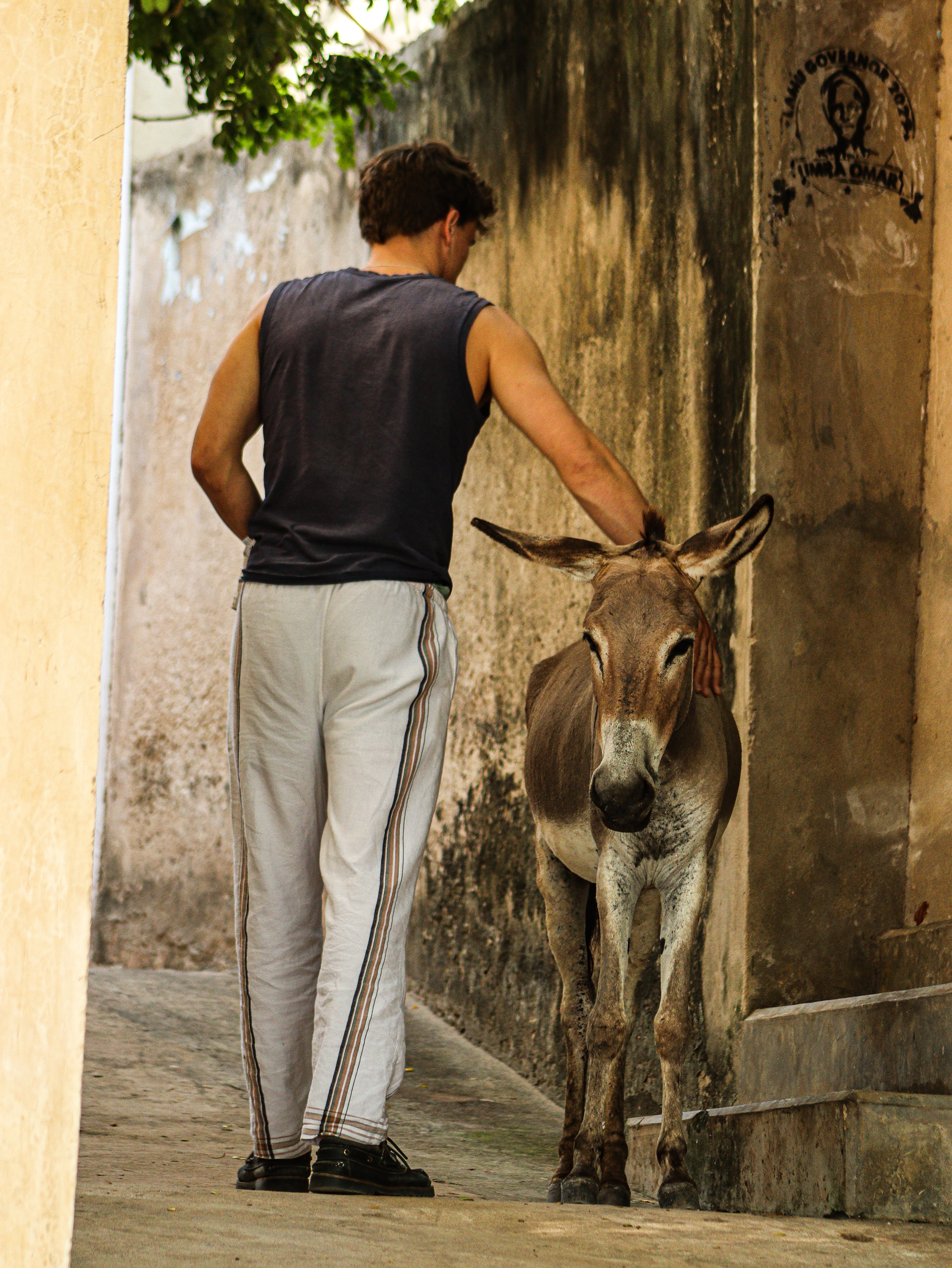 UNESCO Old Town Tour